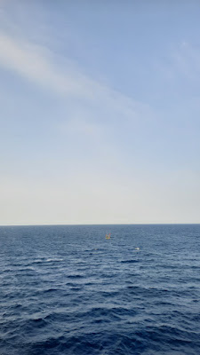 20250716_071312.jpg