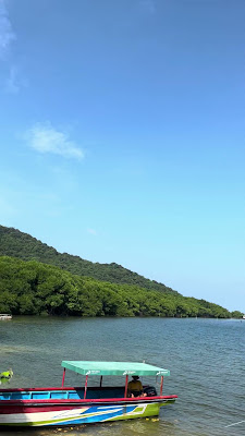IMG_3250.MOV