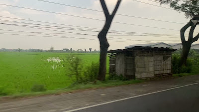 IMG_0849.MOV