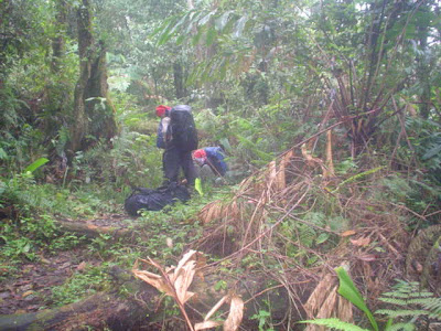 DSC01390.JPG
