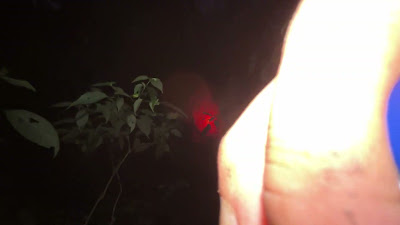 IMG_6690.MOV