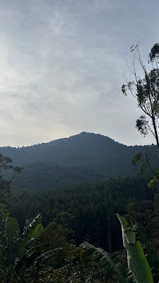 IMG_6722.JPG