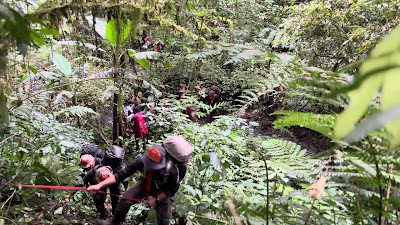 IMG_0171.MOV