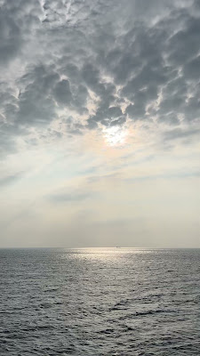 IMG_4433.MOV