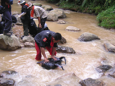 DSCN3706.JPG
