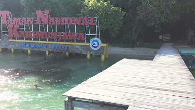 VID_20250510_151849_HDR10PLUS.mp4