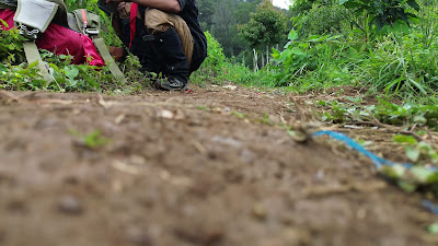 DJI_0247.MP4