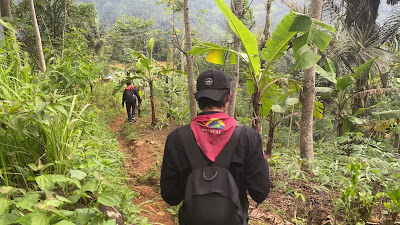 IMG_1358.MOV