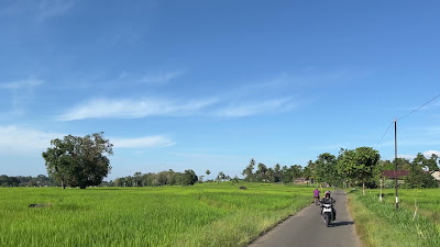 IMG_5594.MOV