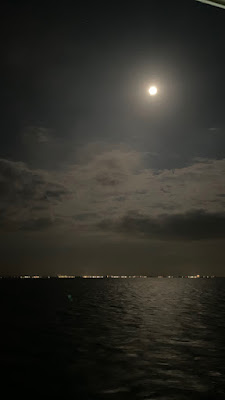 IMG_0834.HEIC