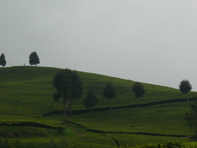 P1040889.JPG