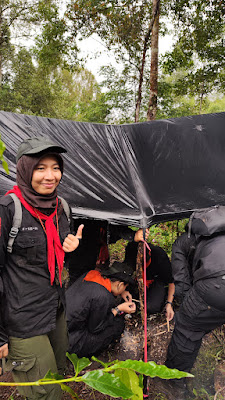 IMG_20241215_135303.jpg