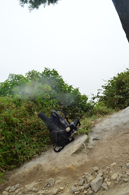 DSC_0002.JPG