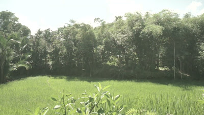 00035.MTS