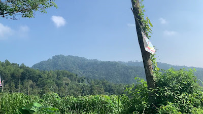 IMG_1816.MOV