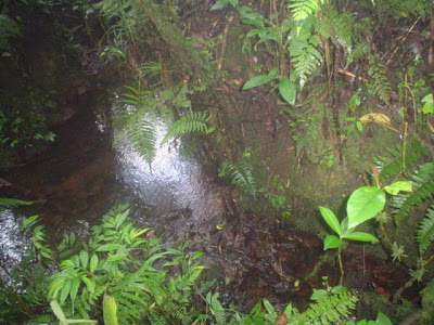 DSC01502.JPG