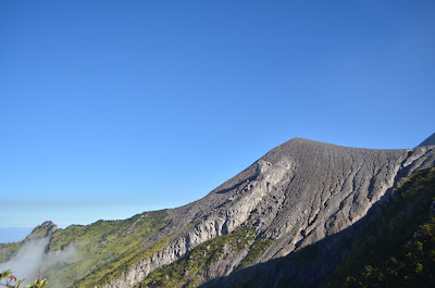 DSC_0049.JPG