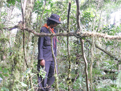 DSCN1466.JPG