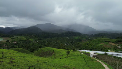 DJI_0242.MP4