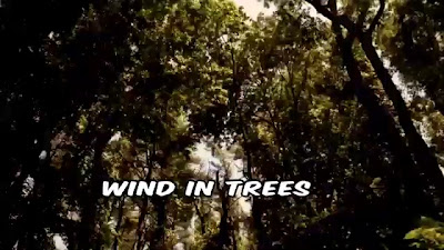 videoplayback (3).mp4