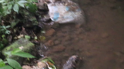 MVI_4750.MP4