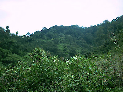 Survey PenDas KF Gunung Hutan - 045.jpg