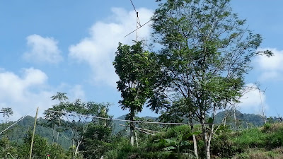 DSCF6434.MOV