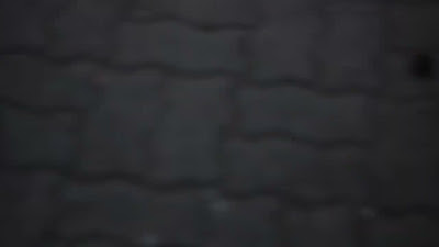MVI_6489.MOV