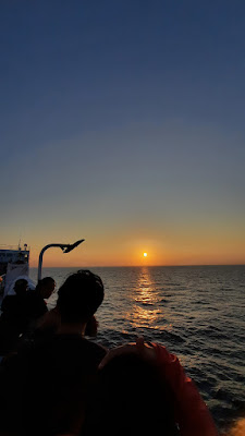 20250726_180323.jpg