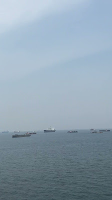 IMG_0411.MOV