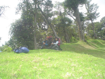 DSC01539.JPG