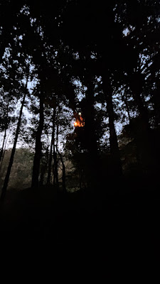 IMG_6699.JPG