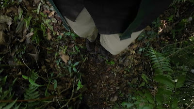 DJI_0132_001.MP4