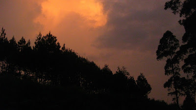 IMG_3460.jpg