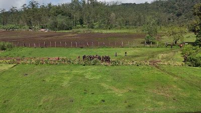DJI_20260125103721_0185_D.MP4