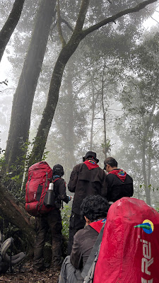 IMG_6625.JPG