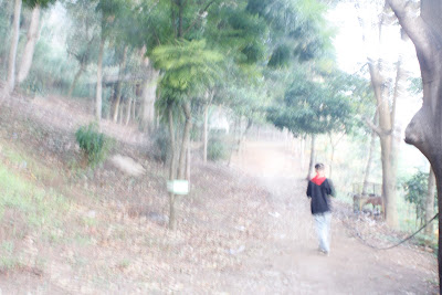 _MG_8873.JPG