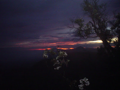 DSC02071.JPG