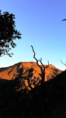 IMG_4207.JPG