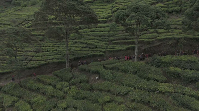 DJI_20250119121803_0381_D.MP4