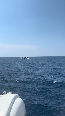 IMG_2630.MOV