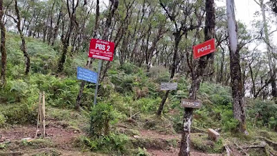 IMG_6471.MOV