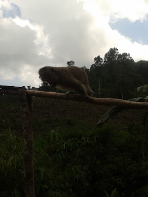 2012-11-16 10.20.36.jpg