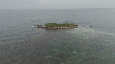 DJI_20250511064845_0039_D.MP4