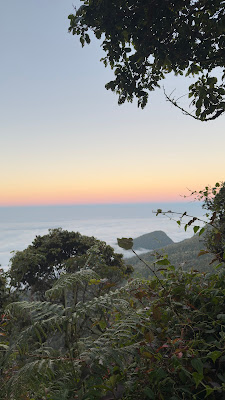 IMG_4214.DNG
