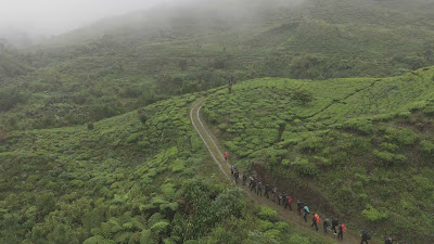 DJI_20260121101857_0164_D.MP4