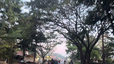 IMG_6391.MOV