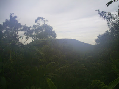 Survey PDA XIV Gunung Hutan dan SAR - 031.JPG