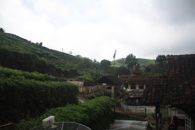 IMG_8952.JPG