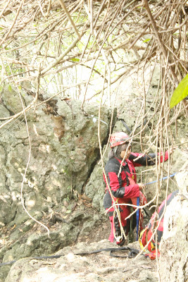_MG_8700.JPG